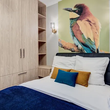 Nova L-elite Щецин