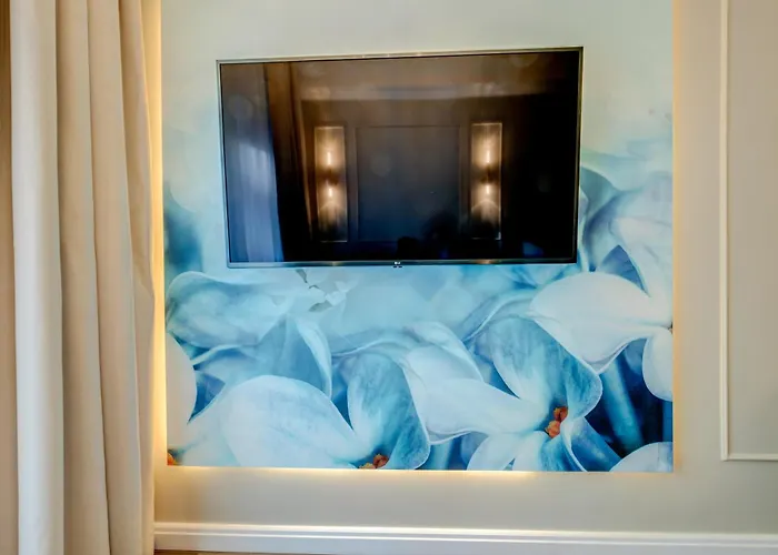 Nova L-elite シュチェチン